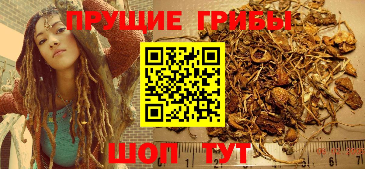 Баксан  Псилоцибиновые грибы MAGIC MUSHROOMS  Вход с VPN 